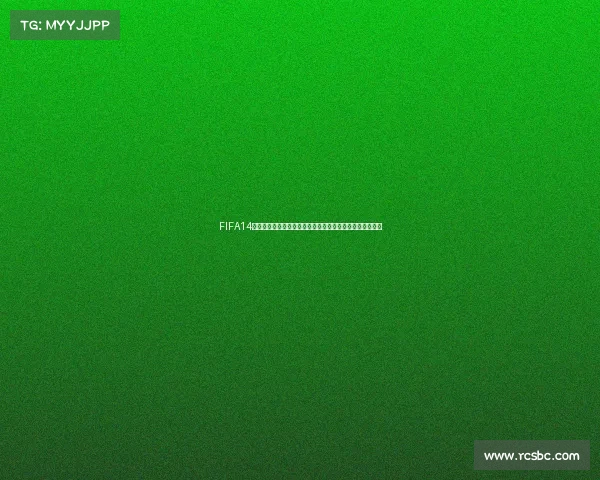 FIFA14世界杯决赛未进首发的遗憾与争议回顾瞬间与背后故事解析